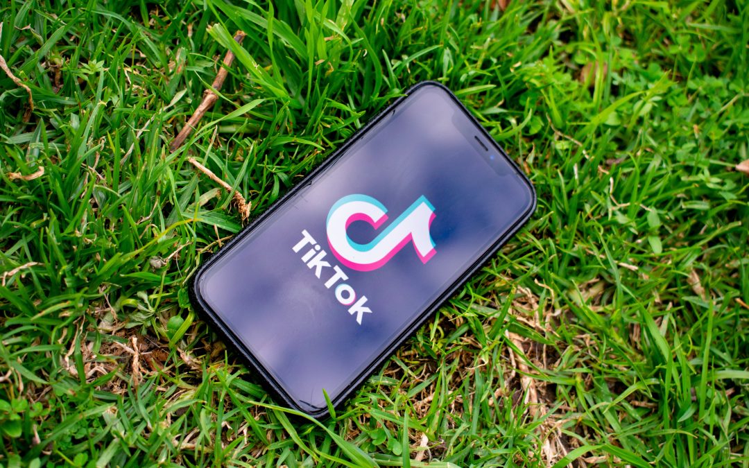 How the Rice Lake Public Library Joined the World of TikTok
